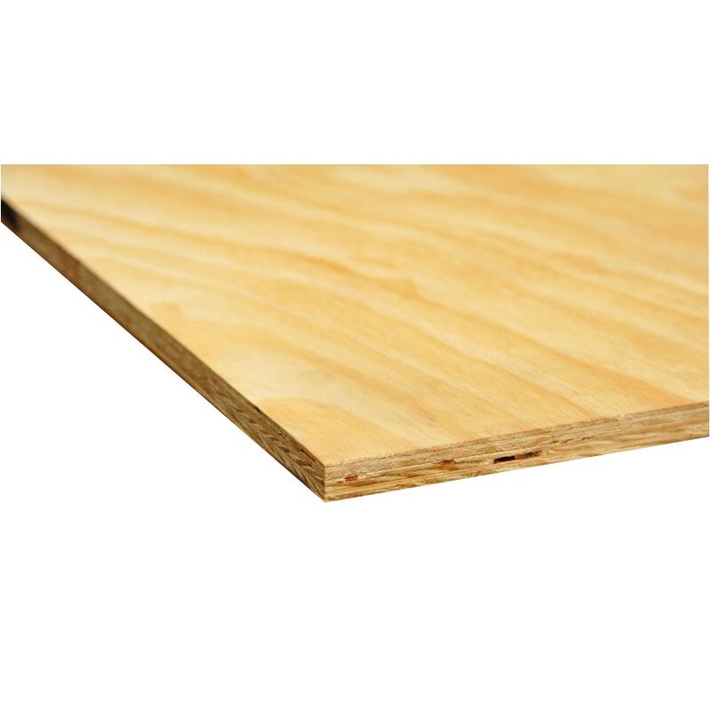 Borovice Elliotis, obalová překližka 15x1220x2440