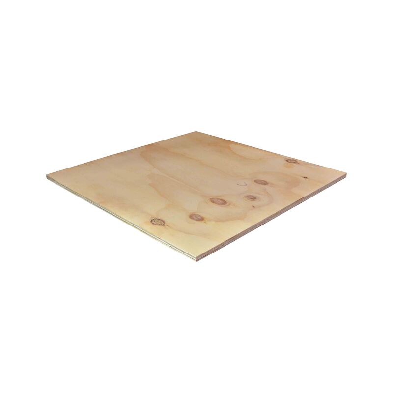 Borovice Elliotis, obalová překližka 15x1250x2500