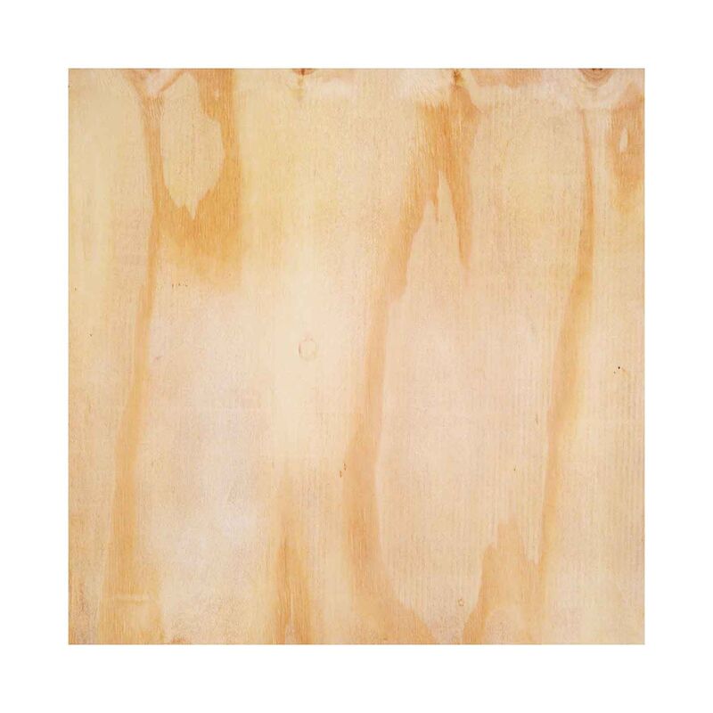 Borovice Elliotis, obalová překližka 15x1250x2500