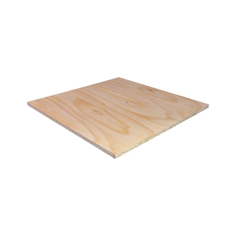 Borovice Elliotis, obalová překližka 18x1250x2500