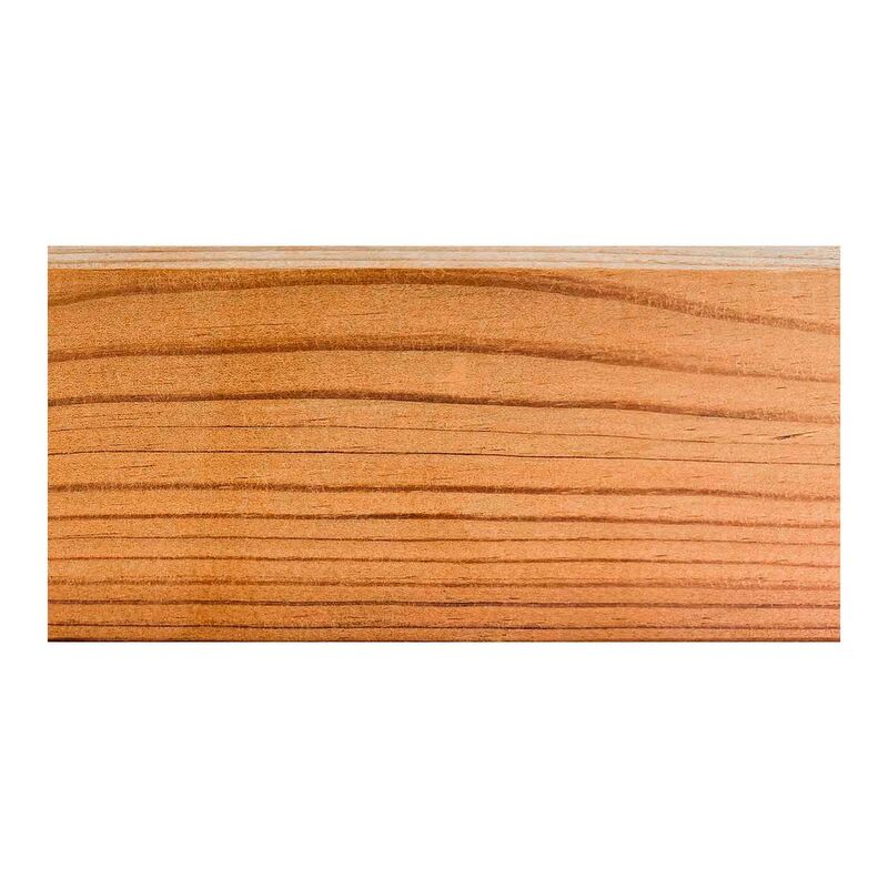 Thermo borovice/25° Raute 20x65x3000