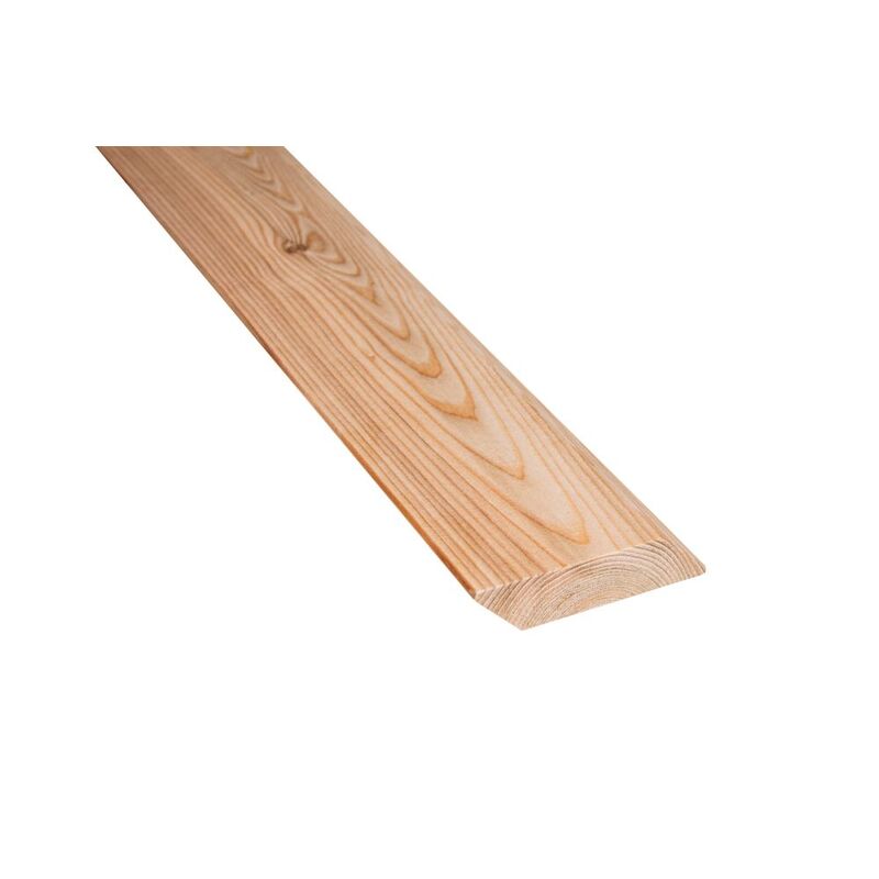 Slezský modřín Raute 24x100x5000mm