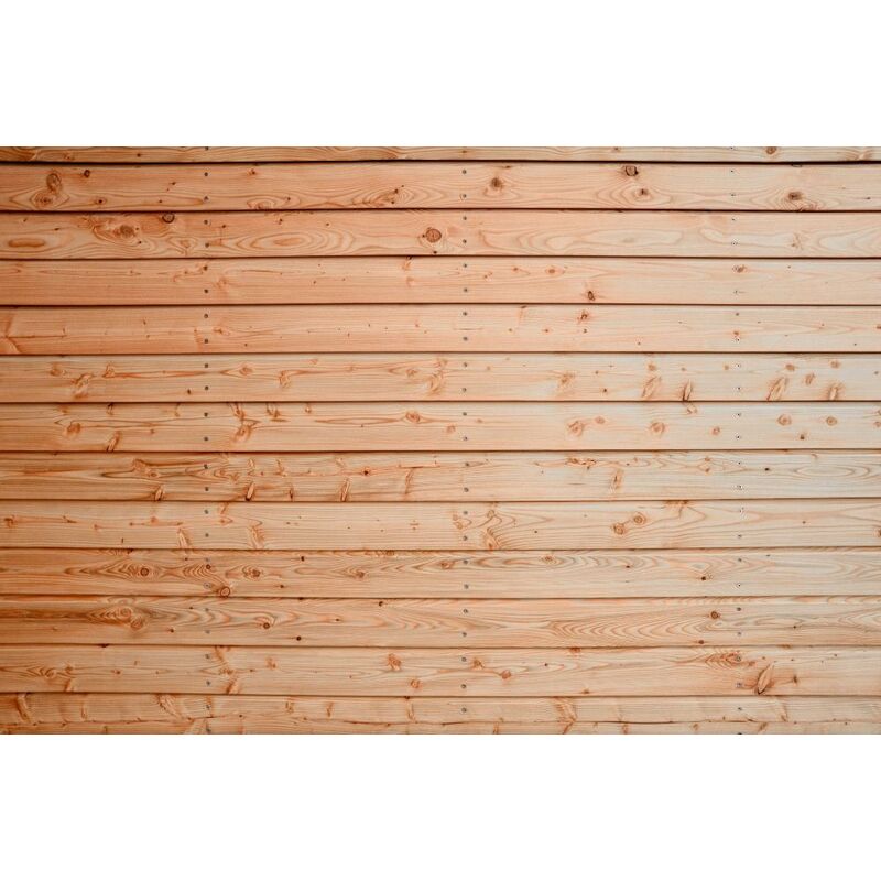 Slezský modřín Raute 24x100x5000mm