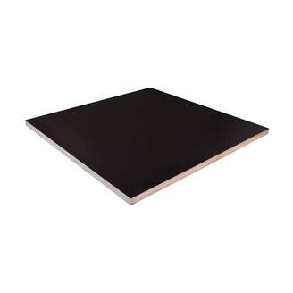 Bříza, překližka foliovaná 21x1250x2500