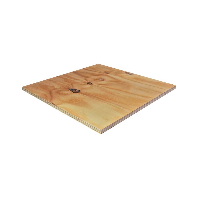 Borovice Elliotis, obalová překližka 21x1250x2500