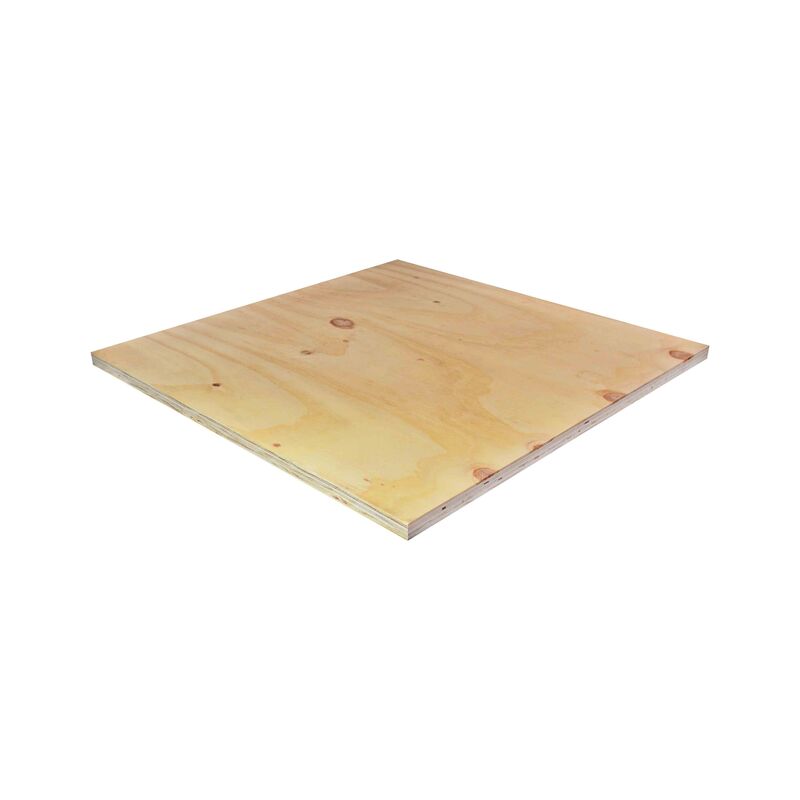 Borovice Elliotis, obalová překližka 21x1250x2500