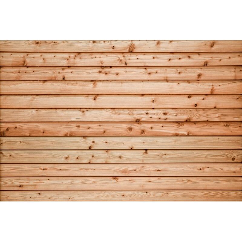 Slezský modřín Raute PD 24x107x4000