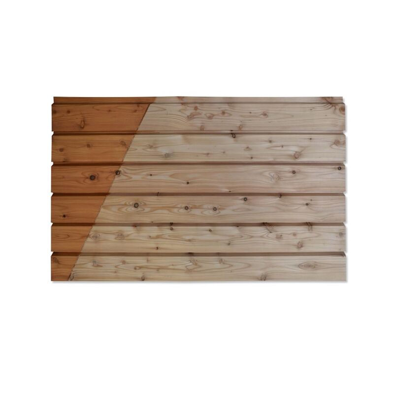 Slezský modřín Raute PD 24x107x4000