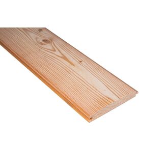 Slezský modřín Klasika 19x146x4000