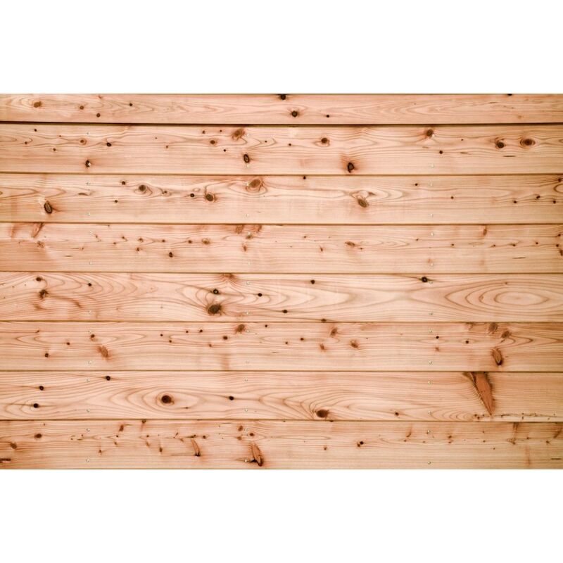 Slezský modřín Klasika 19x146x4000