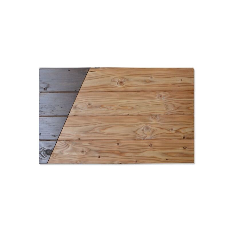 Slezský modřín Klasika 19x146x4000