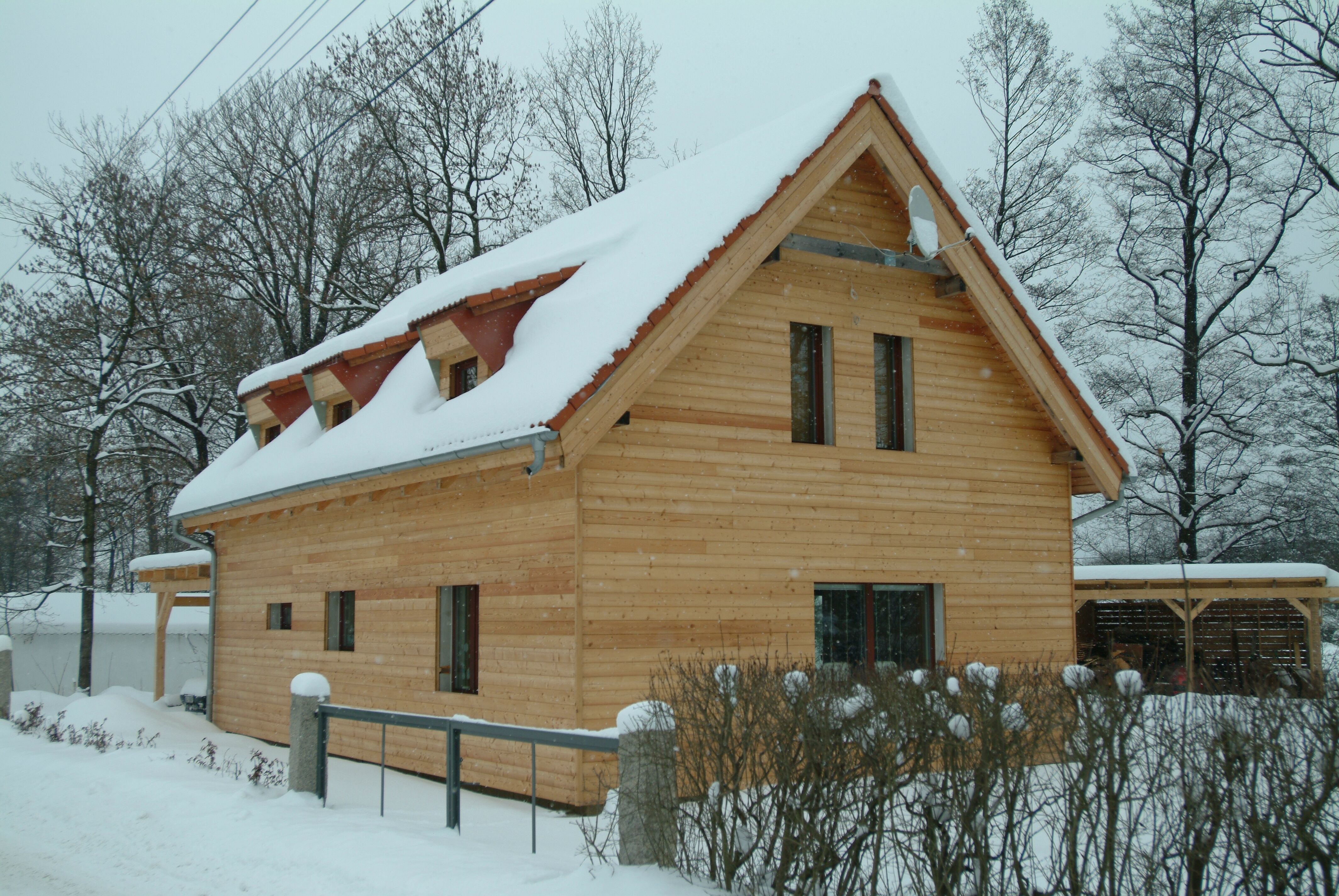 Modřín Slezský/Evropský