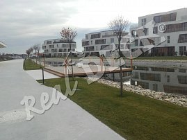 Terasa REAL DECK Modřín sibiřský  28 x 120 mm, ponecháno přírodní